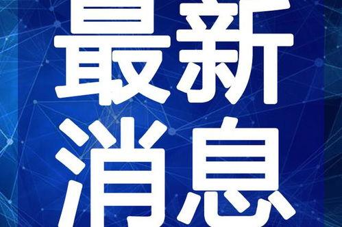 最新重庆爆料消息今天,揭秘今日热点事件背后的真相
