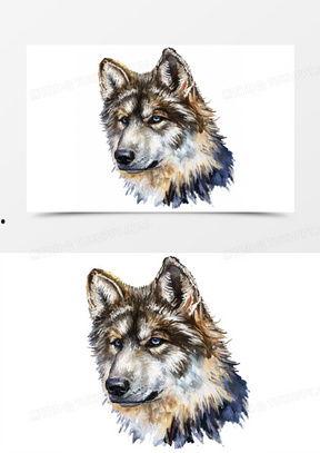 狼狗最新爆料图片高清,神秘生物真实面貌首次曝光